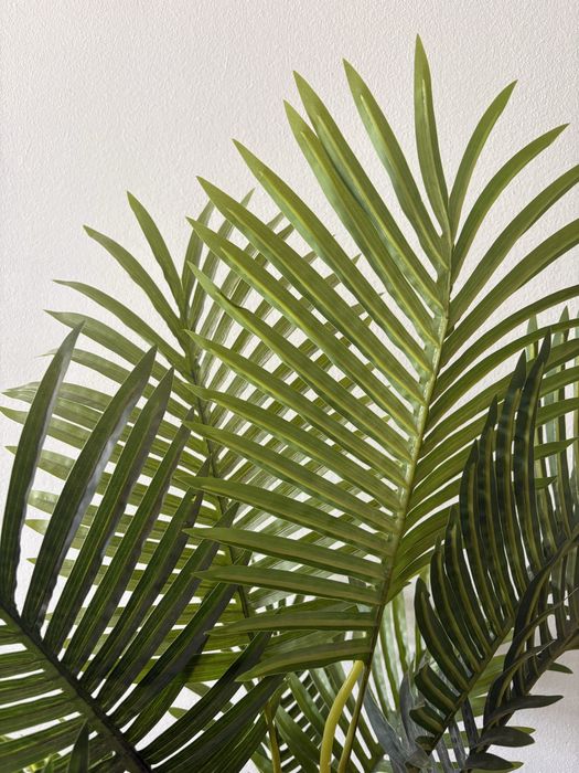 Planta / Palmeira Artificial 100 cm com Vaso (Decoração) Alfragide • OLX.pt