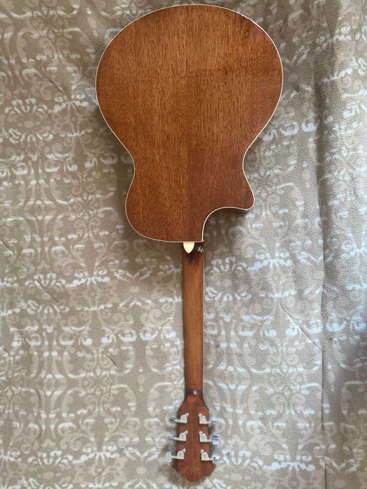 Guitarra Acústica Ibanez AE245-NT