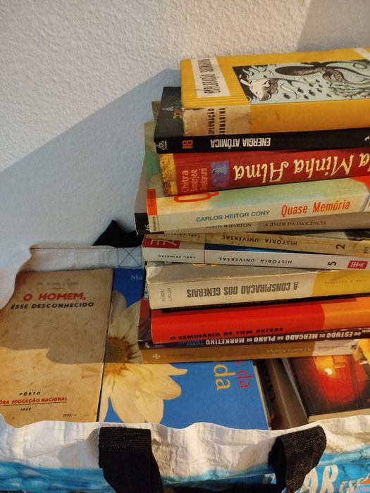 Lote de 505 livros