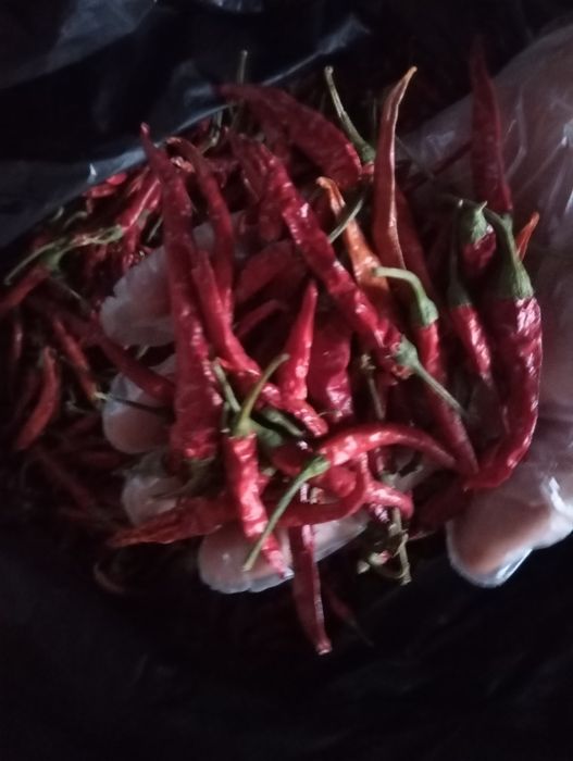 Перець чилі сухий 2025рік