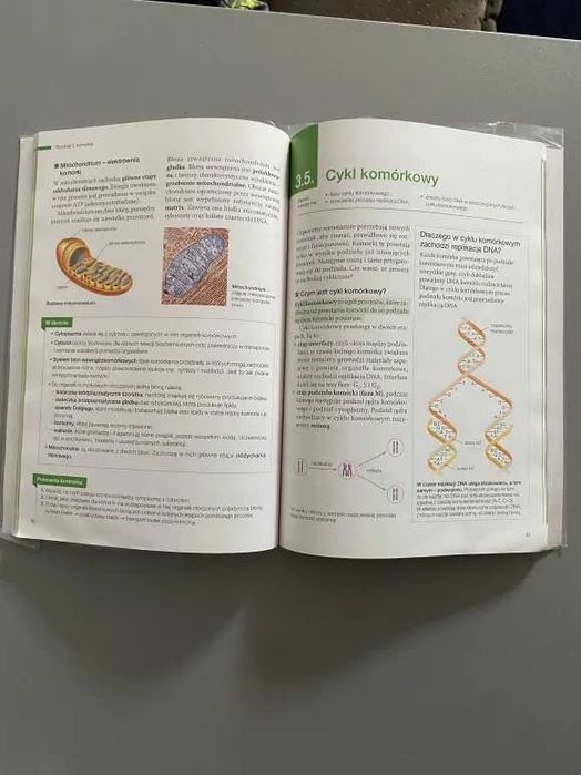 Biologia na czasie 1 poziom podstawowy dla klasy 1 [używana]