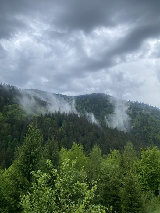 Панорамний будинок в горах для двох та сімї . Віддалено від міста