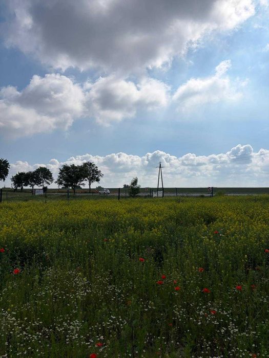 Działka budowlana Nieznań - warunki zabudowy, obręb - Szczecin / Stargard - View 2