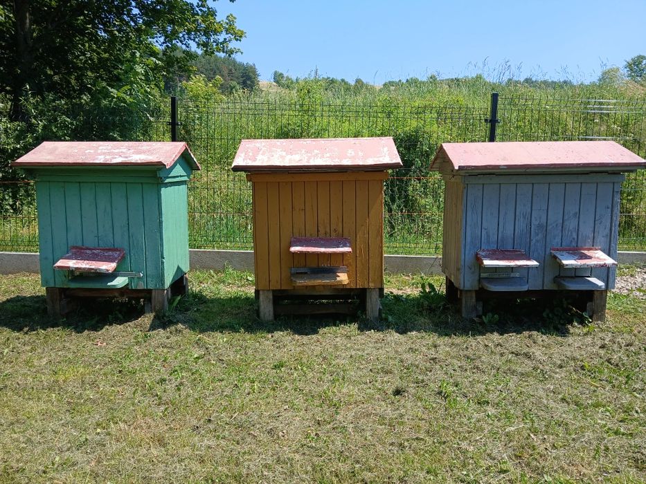 Sprzedam ule wielkopolskie