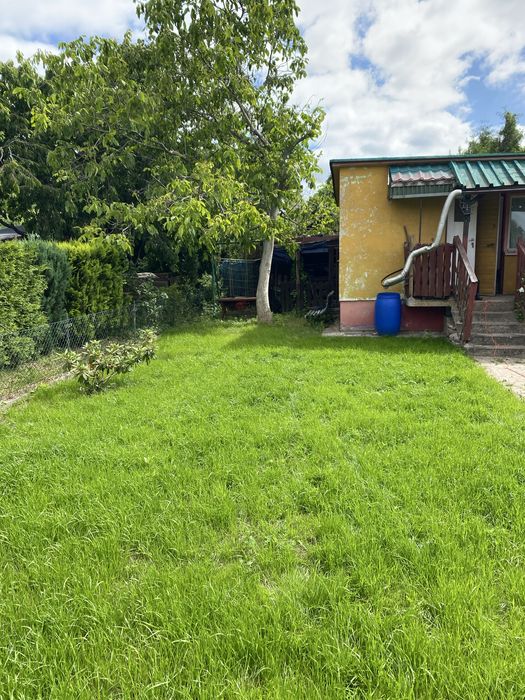 Działka ROD z domkiem Chojnice