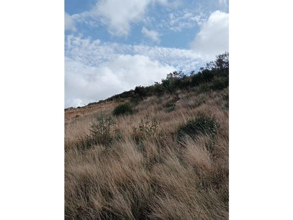 Terreno Rústico, Arruda dos Vinhos — Arruda dos Vinhos, Lisboa
