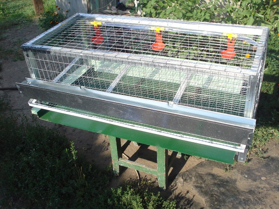 клетка для перепелов 30 шт.