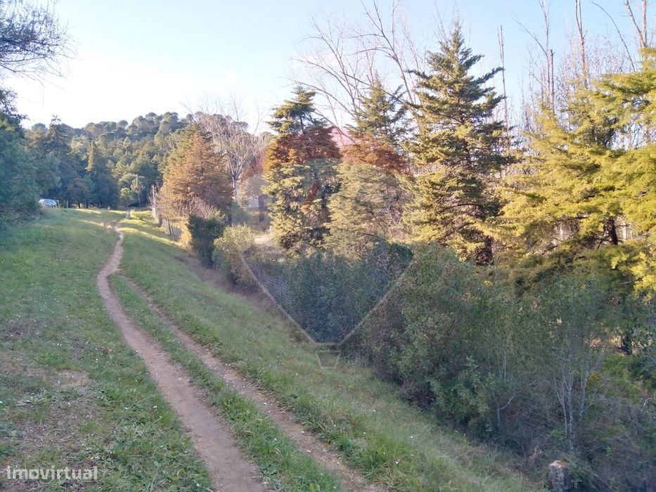 Terreno  para venda — Alcanena E Vila Moreira, Santarém