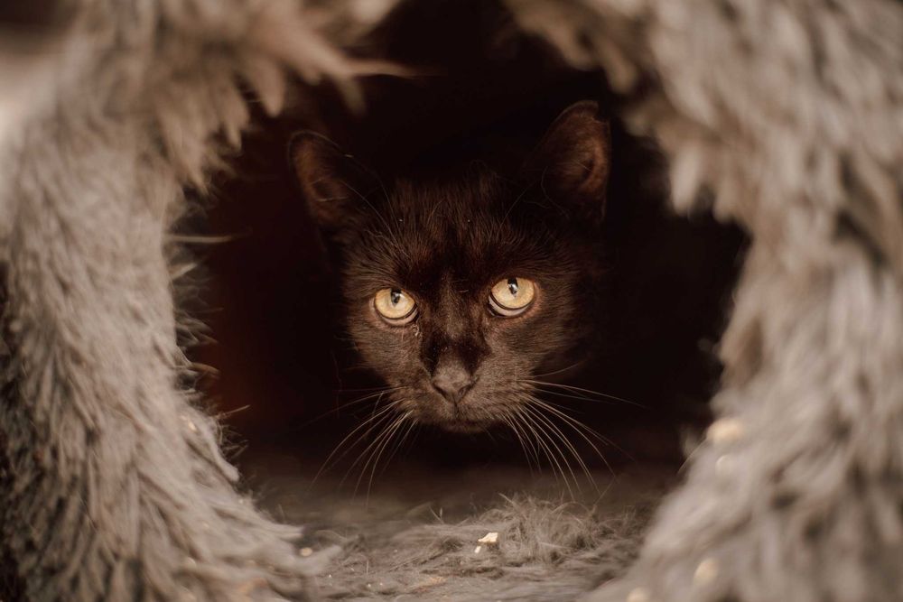 On nie prosi o miłość. On prosi, żeby go nie skrzywdzić. Daj szansę!