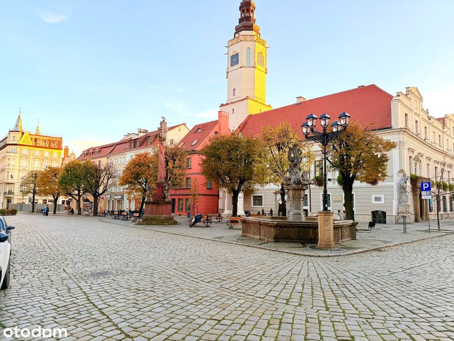 Ścisłe centrum  Świdnicy! Lokal z witryną na płytę rynku!