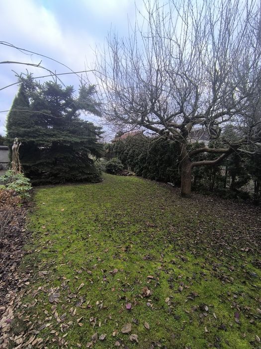 Działka ROD Malborska Targówek