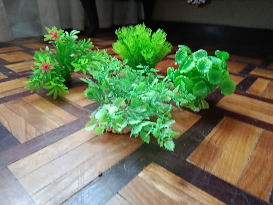 Várias plantas arficiais decorativas para aquário