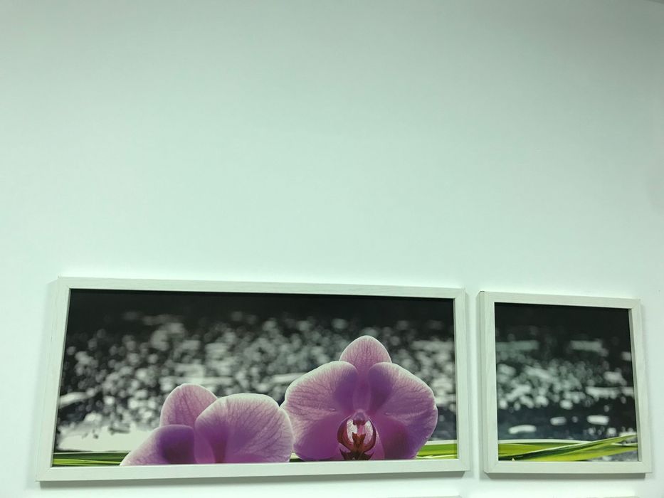 Conjunto de quadros64550241678721123