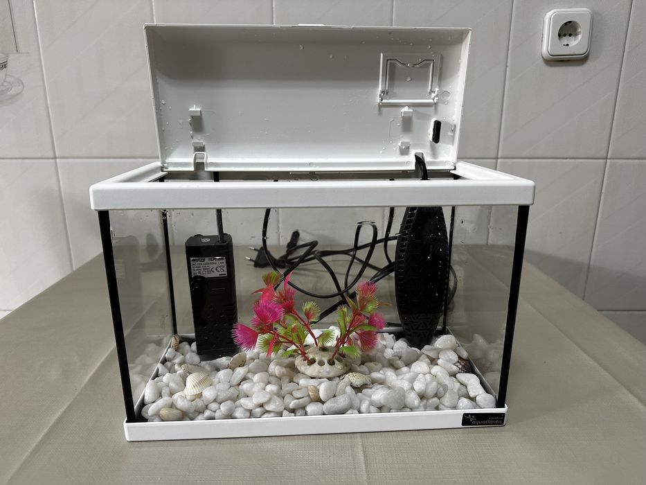 Aquario peixes agua quente