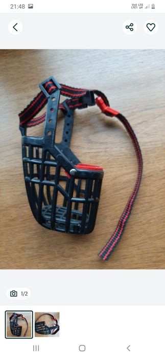 Nowy kaganiec dla małego psa