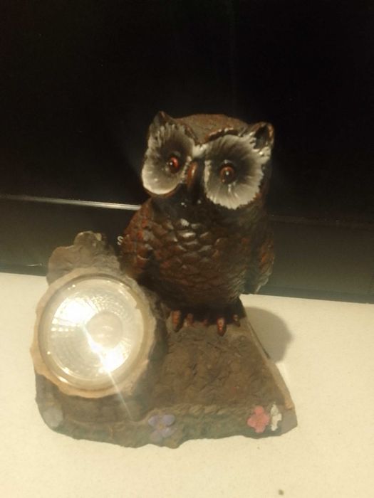 Сова на сонячній батареї,