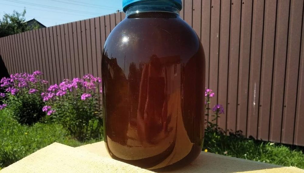 Продам мед з власної пасіки