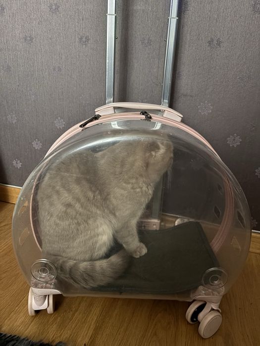 Перевозка ,переноска для кота