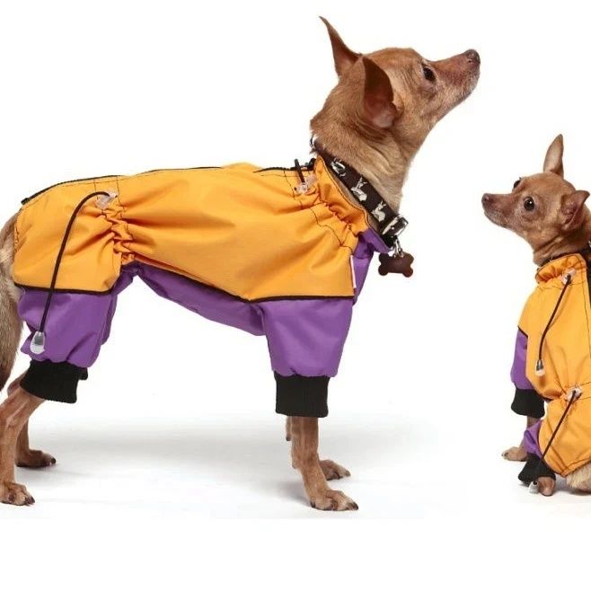 Одяг для тварин. Дощовики, жилети, худі, комбінезони. Інд. пошив