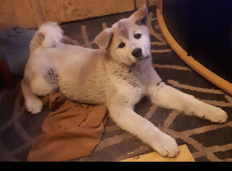 W dalszym ciągu szukam od 2023r