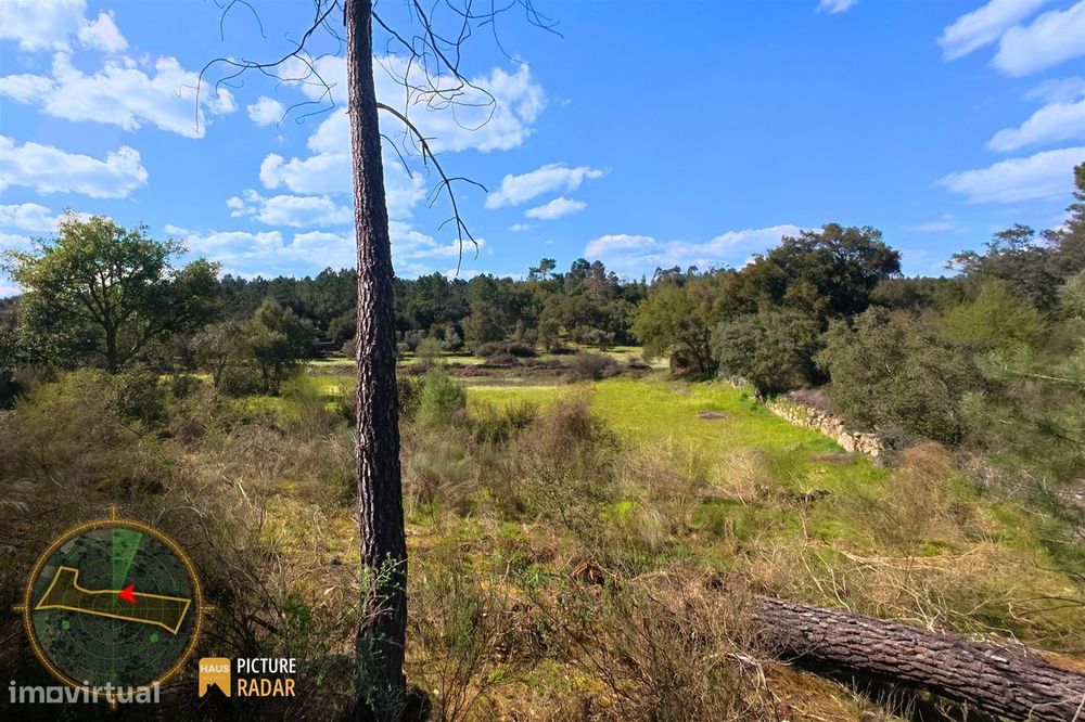 Terreno 1.1ha com Ruína e Vale Fértil | Cafede, Castelo Branco