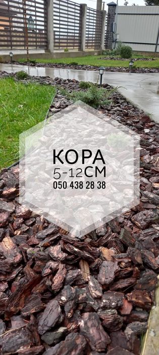 Субстрат для розсади