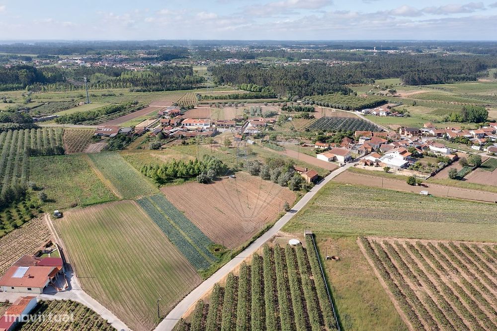 Terreno  para venda