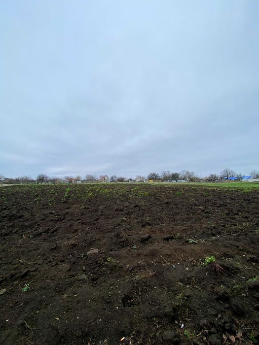 Продаж будинку в с. Миролюбове (Грейгове), вул. Івана Богуна