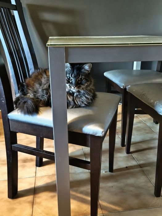 Mesa de jantar tampo de vidro e em metal