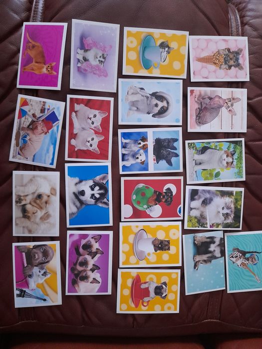 Cromos puppies kity