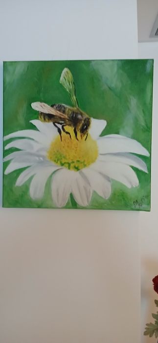 Quadros a óleo sobre tela