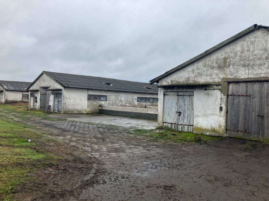 Magazyny do wynajęcia