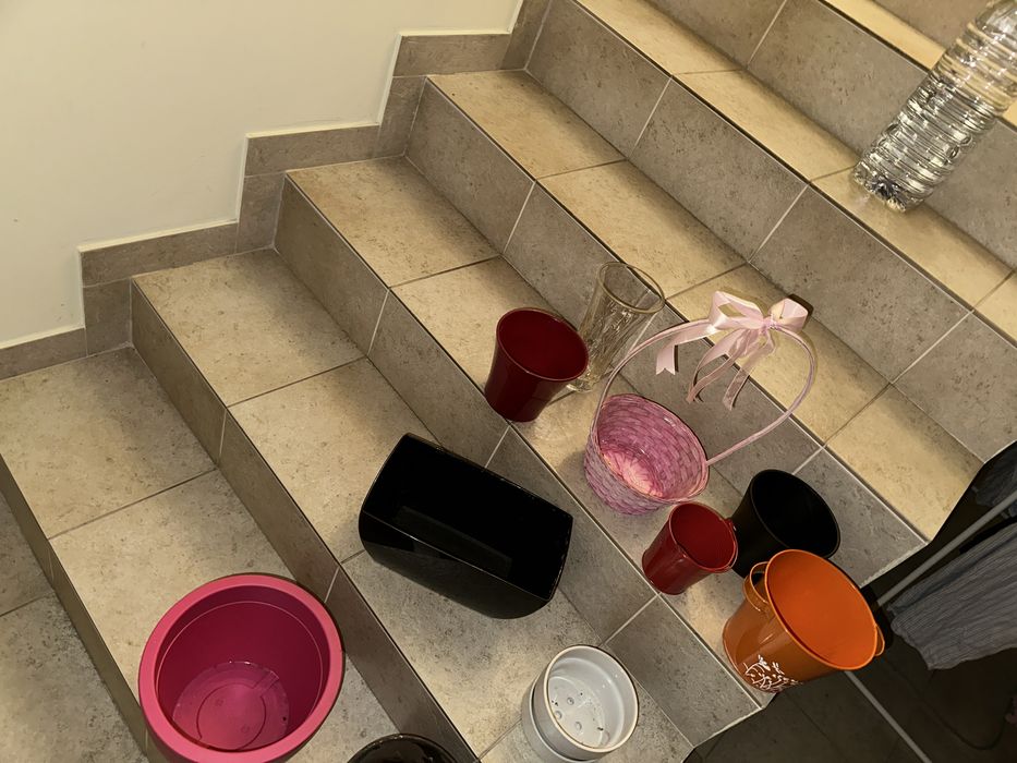 Vasos plantas variados