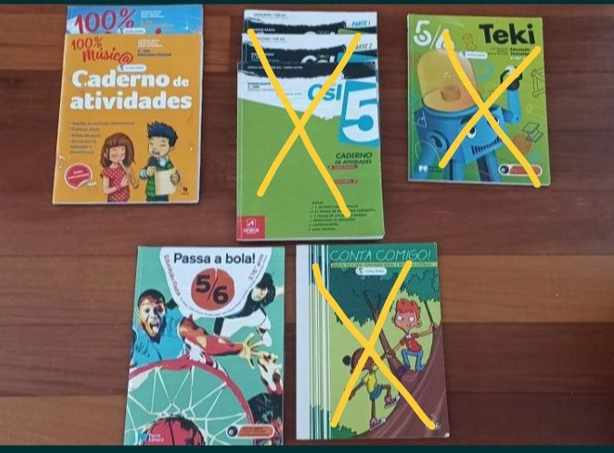 Manuais  5 ano em bom estado.