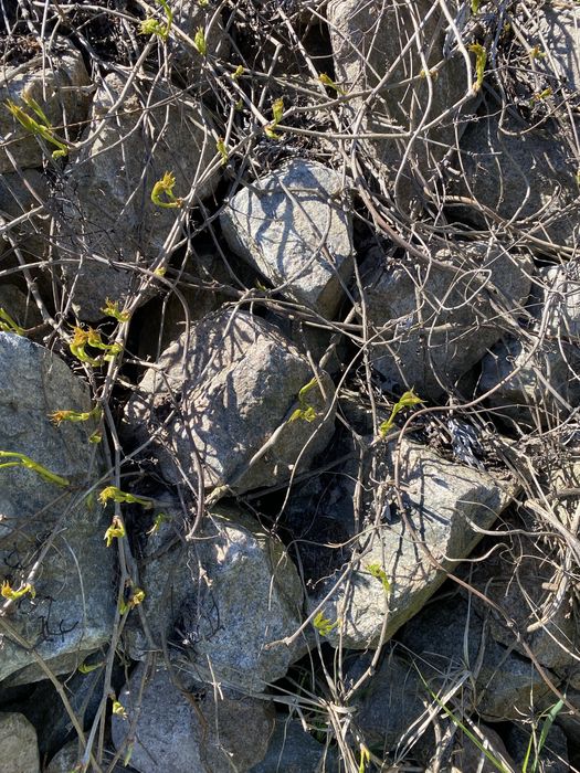 Камінь , бут , Бутовий камінь