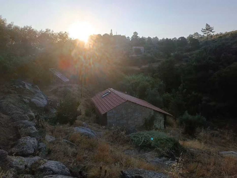 VENDA Quinta de 1,4 ha com casa de Arrumos em Vale de Prazeres, Portugal - 119.000€