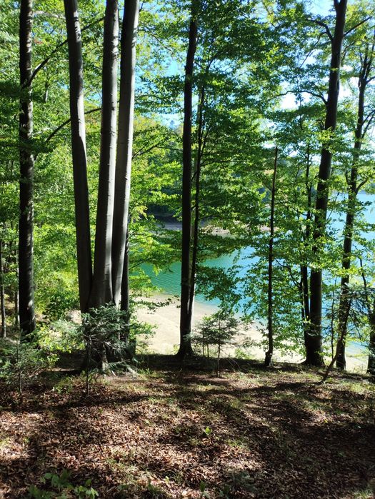 Domek w Bieszczadach nad Jeziorem Solińskim /Solina/Polańczyk/Werlas