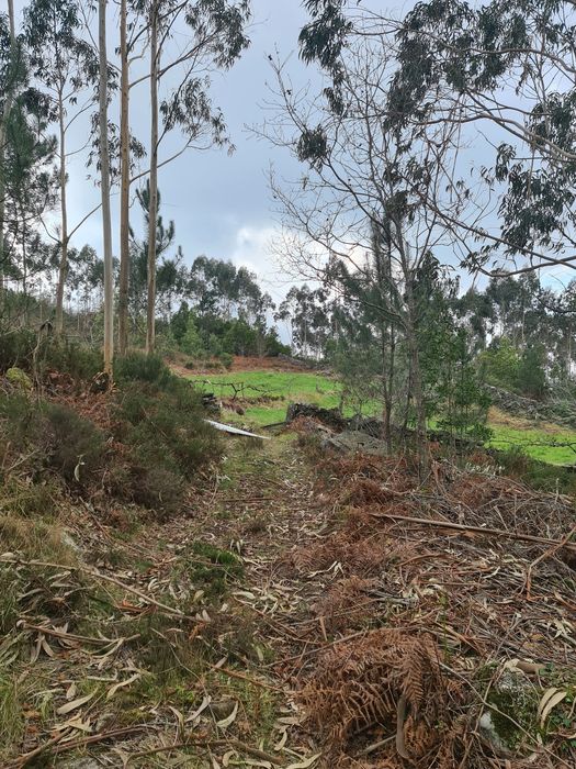 Quinta Agrícola a 5 minutos da A25
