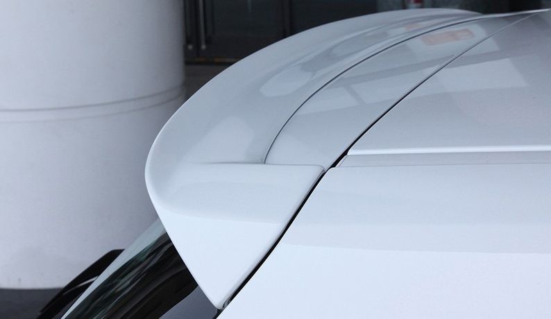 Aleron/Aileron M Perfomance BMW F20