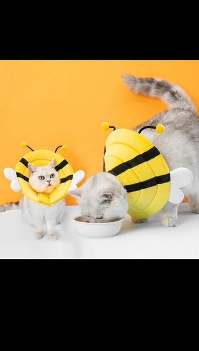 Після операційний комір, конус для котів собак розмір М