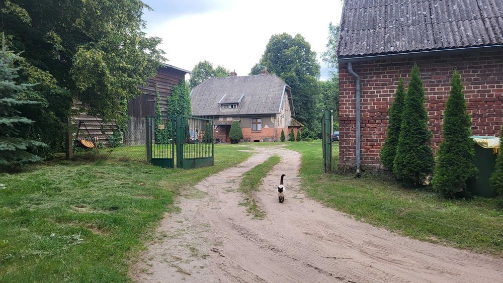 Mieszkanie w leśniczówce z 1911 roku w Borach Tucholskich