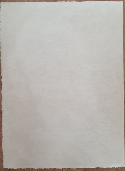 As Profissões - Colecção de 7 Serigrafias de Júlio Pomar