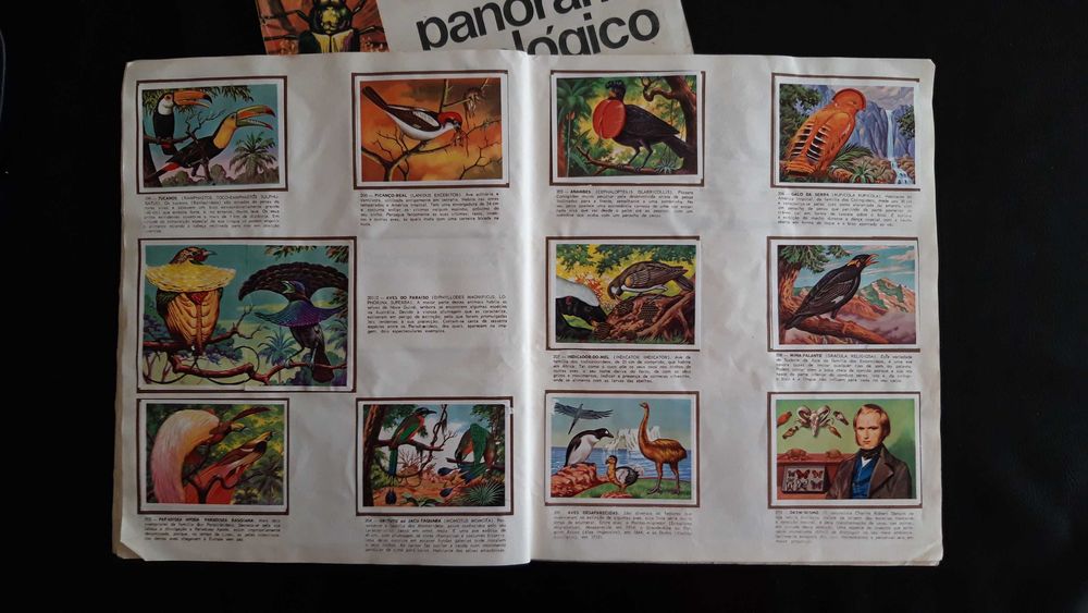 Caderneta de cromos Panorama Zoológico (1981)