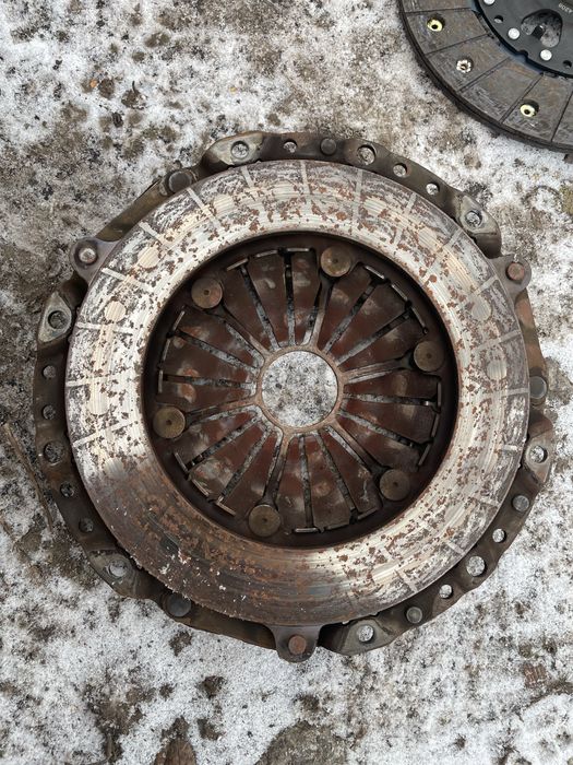 Продам щеплення М47