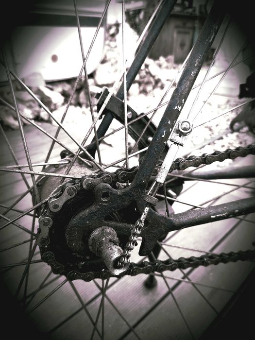 Bina centenaria de 80 a 130 anos