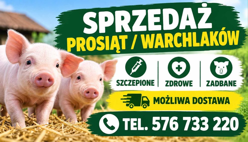 Prosiaki -warchlaki sprzedam .20 kg POLSKIE CENA BRUTTO
