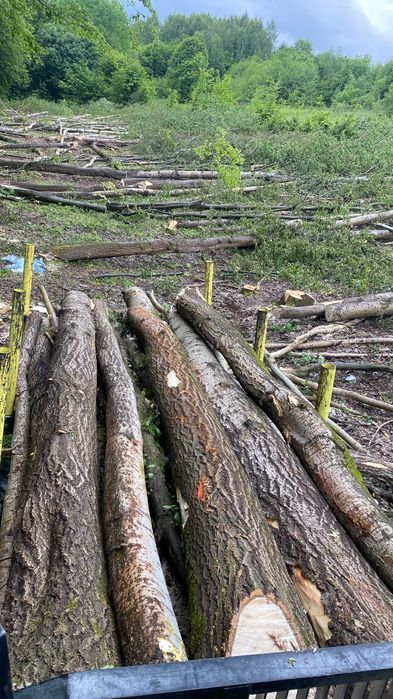 Mulczowanie wgłębne, Rekultywacja, Czyszczenie działek, Wycinka drzew