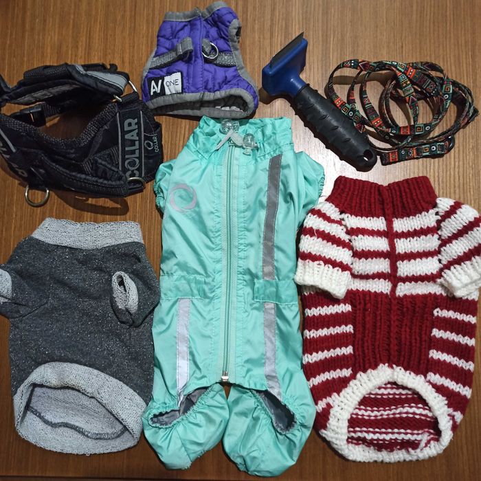 Одяг та щітка фурминатор, для вичікування улюбленця