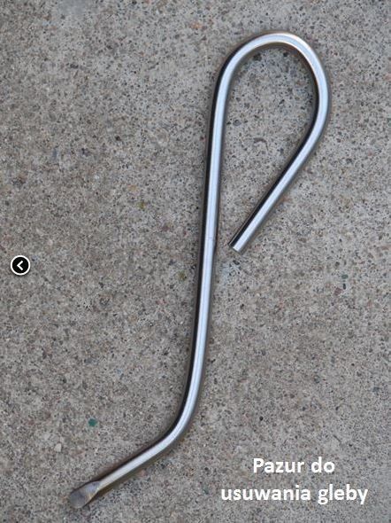 LASKA GLEBOWA (Laska Egnera) + Pazur