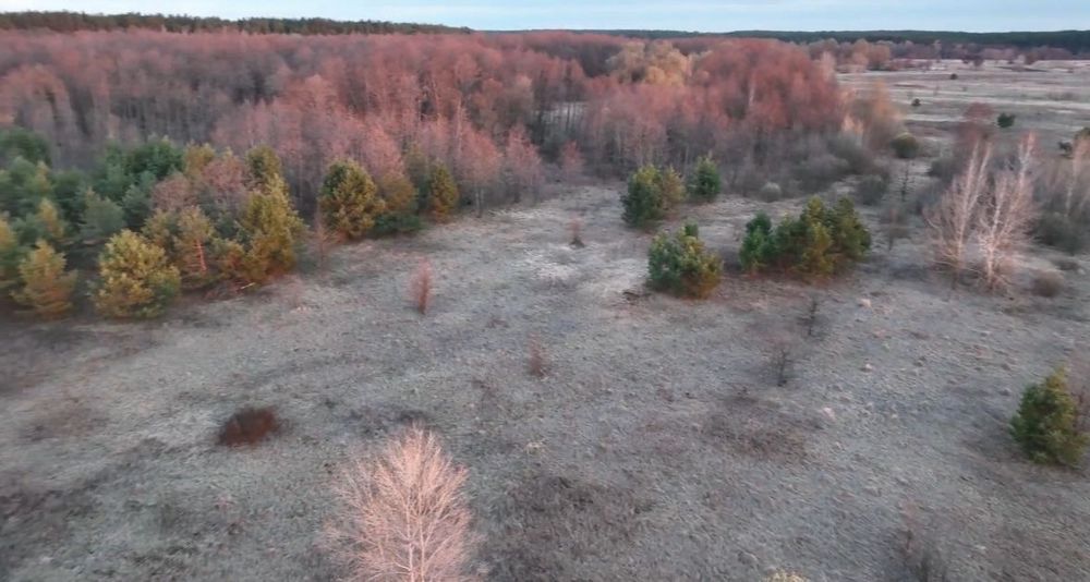 Ділянка 4га, перша лінія річки Десни